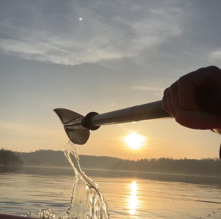 Tiefstehende Sonne im Frühjahr